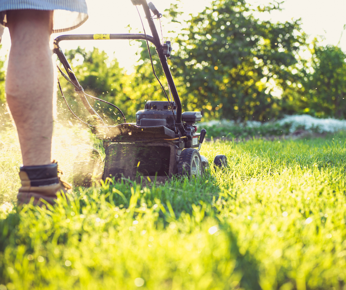 There is a best & worst time to mow your lawn in GA, exerts say. Here’s when and why